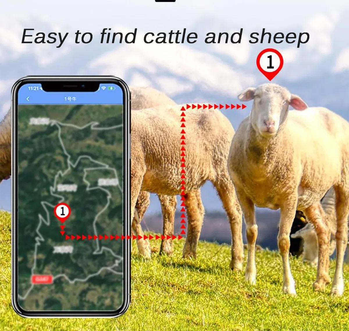 Lokalizator GPS bydła, słoneczny lokalizator zwierząt, pozycja 30000 mAH 4G, pozycjonowanie w czasie rzeczywistym, dla bydła/owiec/koni/wielbłądów